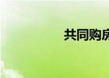 共同購房協(xié)議書怎么寫