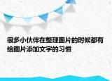 很多小伙伴在整理圖片的時候都有給圖片添加文字的習慣