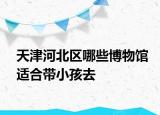 天津河北區(qū)哪些博物館適合帶小孩去