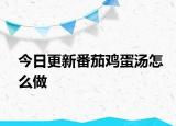 今日更新番茄雞蛋湯怎么做