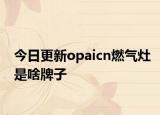 今日更新opaicn燃?xì)庠钍巧杜谱? /></span></a>
                        <h2><a href=