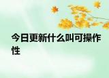 今日更新什么叫可操作性