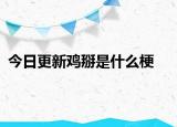 今日更新雞掰是什么梗