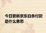 今日更新京東白條付款是什么意思