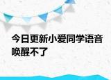 今日更新小愛同學(xué)語音喚醒不了