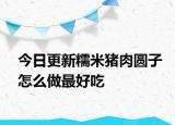 今日更新糯米豬肉圓子怎么做最好吃