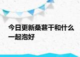 今日更新桑葚干和什么一起泡好