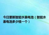 今日更新智能水表電池（智能水表電池多少錢一個）