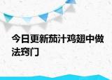 今日更新茄汁雞翅中做法竅門