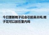 今日更新梔子花會引起鼻炎嗎,梔子花可以放在室內(nèi)嗎