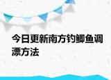 今日更新南方釣鯽魚調(diào)漂方法