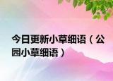 今日更新小草細(xì)語（公園小草細(xì)語）