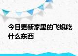 今日更新家里的飛蛾吃什么東西