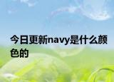 今日更新navy是什么顏色的