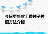 今日更新紫丁香種子種植方法介紹