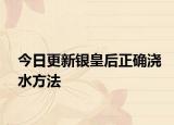 今日更新銀皇后正確澆水方法