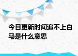 今日更新時間追不上白馬是什么意思