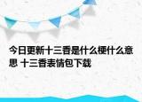 今日更新十三香是什么梗什么意思 十三香表情包下載