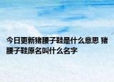 今日更新豬腰子鞋是什么意思 豬腰子鞋原名叫什么名字