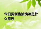 今日更新胞波情誼是什么意思