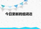 今日更新鷗組詞語