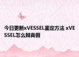 今日更新xVESSEL鑒定方法 xVESSEL怎么辯真假