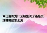 今日更新為什么鞋墊洗了還是臭 球鞋鞋墊怎么洗