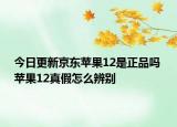 今日更新京東蘋果12是正品嗎 蘋果12真假怎么辨別