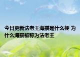 今日更新法老王海貓是什么梗 為什么海貓被稱為法老王