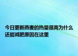 今日更新燕麥的熱量很高為什么還能減肥原因在這里