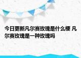 今日更新凡爾賽玫瑰是什么梗 凡爾賽玫瑰是一種玫瑰嗎