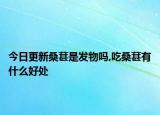 今日更新桑葚是發(fā)物嗎,吃桑葚有什么好處