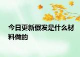 今日更新假發(fā)是什么材料做的