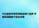 今日更新字母哥球鞋是哪個品牌 字母哥球鞋哪個配色好看