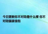 今日更新你不對勁是什么梗 你不對勁貓表情包