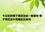 今日更新椰子莆田貨能一眼假嗎 椰子莆田貨外觀看的出來(lái)嗎