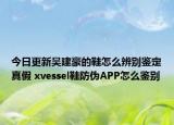 今日更新吳建豪的鞋怎么辨別鑒定真假 xvessel鞋防偽APP怎么鑒別