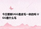 今日更新UGG是皮毛一體的嗎 UGG是什么毛