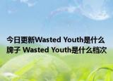 今日更新Wasted Youth是什么牌子 Wasted Youth是什么檔次