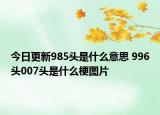 今日更新985頭是什么意思 996頭007頭是什么梗圖片