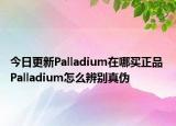 今日更新Palladium在哪買正品 Palladium怎么辨別真?zhèn)? /></span></a>
                        <h2><a href=