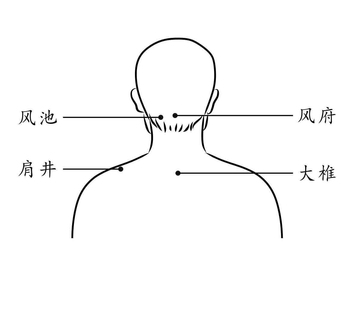 排毒養(yǎng)肝，養(yǎng)生第十一條經(jīng)脈：足少陽(yáng)膽經(jīng)