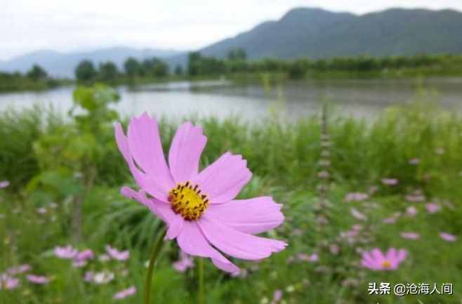 適合思鄉(xiāng)時(shí)聽的十首純音樂