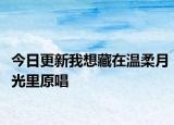 今日更新我想藏在溫柔月光里原唱