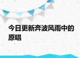 今日更新奔波風(fēng)雨中的原唱