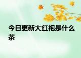 今日更新大紅袍是什么茶