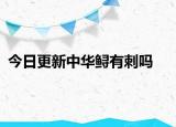 今日更新中華鱘有刺嗎