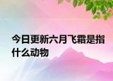 今日更新六月飛霜是指什么動物