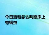 今日更新怎么判斷床上有螨蟲