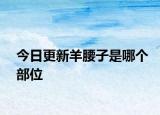 今日更新羊腰子是哪個(gè)部位